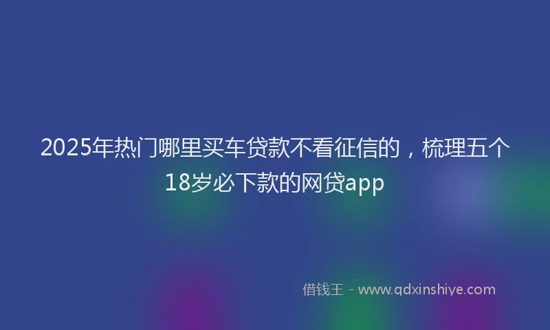 2025年热门哪里买车贷款不看征信的，梳理五个18岁必下款的网贷app