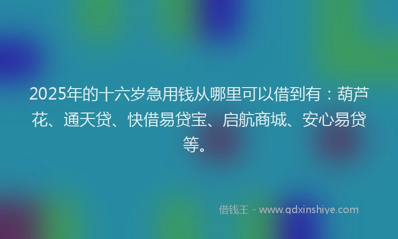 2025年的十六岁急用钱从哪里可以借到有：葫芦花、通天贷、快借易贷宝、启航商城、安心易贷等。