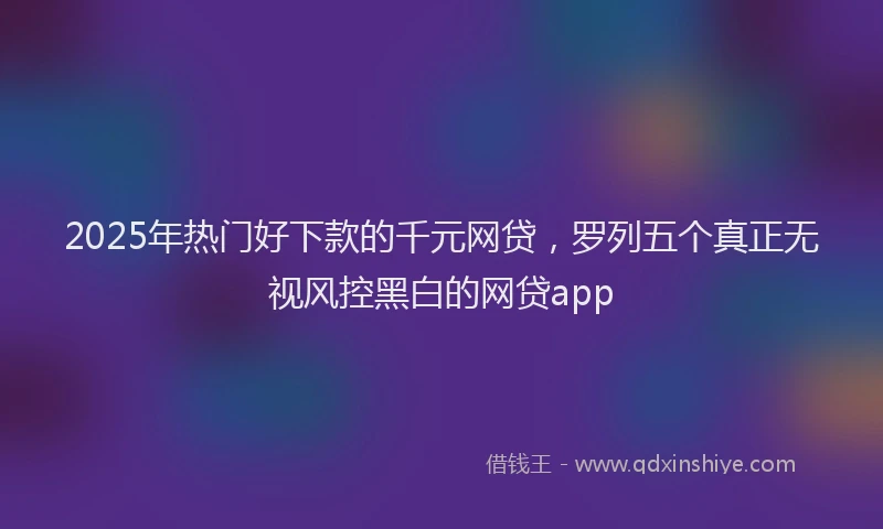 2025年热门好下款的千元网贷，罗列五个真正无视风控黑白的网贷app