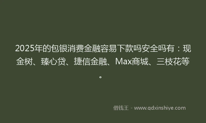 2025年的包银消费金融容易下款吗安全吗有：现金树、臻心贷、捷信金融、Max商城、三枝花等。