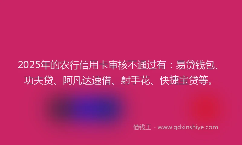 2025年的农行信用卡审核不通过有：易贷钱包、功夫贷、阿凡达速借、射手花、快捷宝贷等。