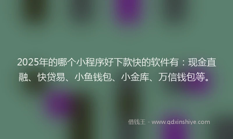 2025年的哪个小程序好下款快的软件有：现金直融、快贷易、小鱼钱包、小金库、万信钱包等。
