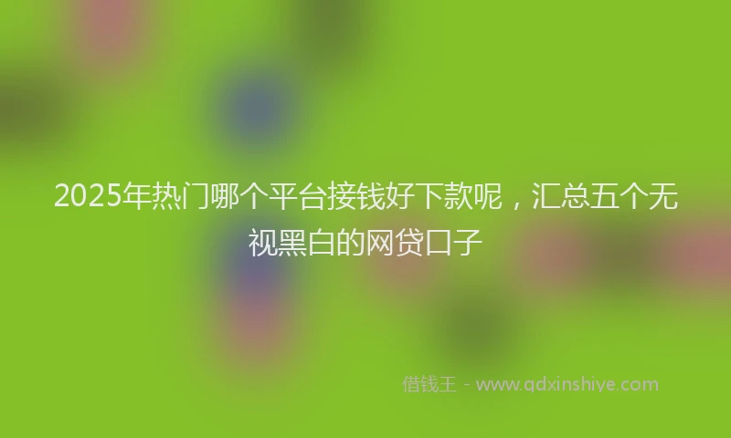 2025年热门哪个平台接钱好下款呢，汇总五个无视黑白的网贷口子