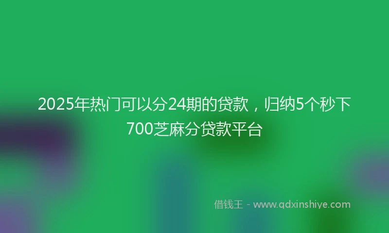 2025年热门可以分24期的贷款，归纳5个秒下700芝麻分贷款平台