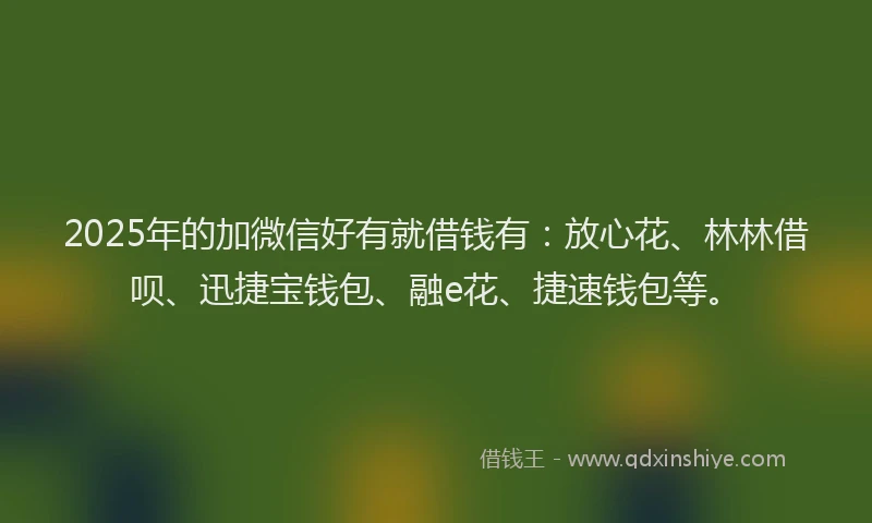 2025年的加微信好有就借钱有：放心花、林林借呗、迅捷宝钱包、融e花、捷速钱包等。