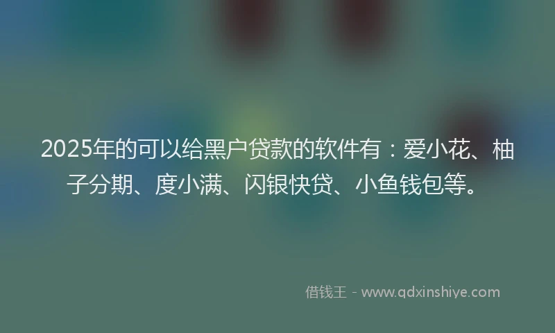 2025年的可以给黑户贷款的软件有：爱小花、柚子分期、度小满、闪银快贷、小鱼钱包等。