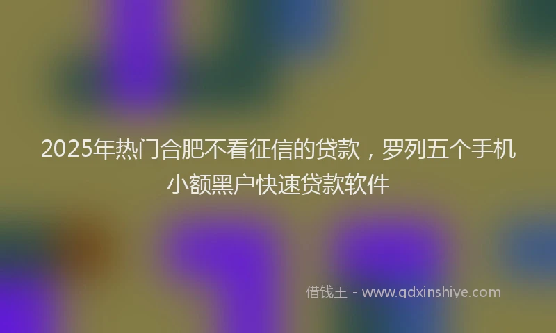 2025年热门合肥不看征信的贷款，罗列五个手机小额黑户快速贷款软件