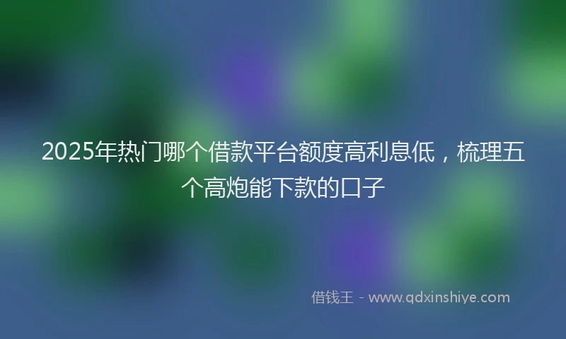 2025年热门哪个借款平台额度高利息低，梳理五个高炮能下款的口子