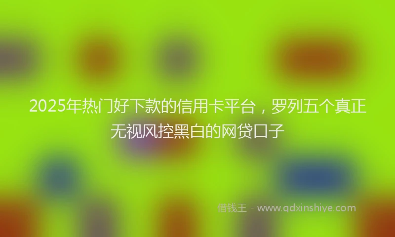 2025年热门好下款的信用卡平台，罗列五个真正无视风控黑白的网贷口子