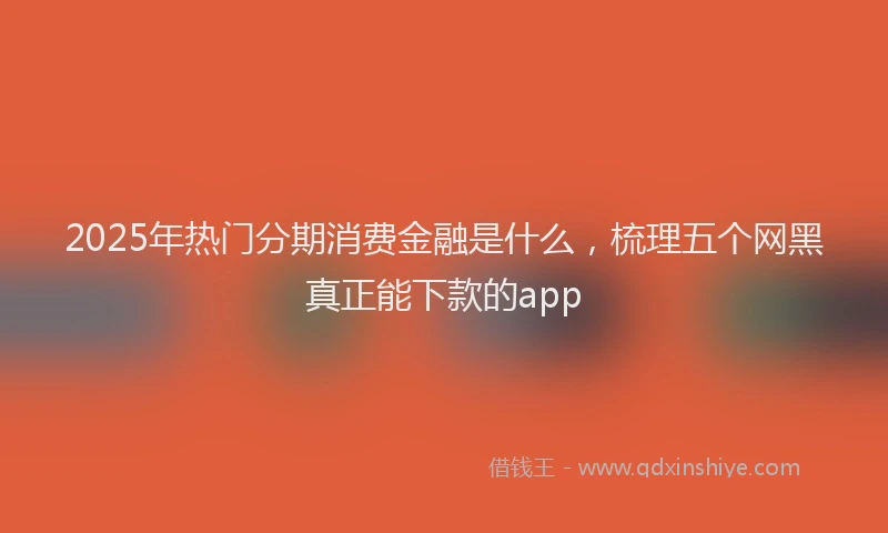 2025年热门分期消费金融是什么，梳理五个网黑真正能下款的app