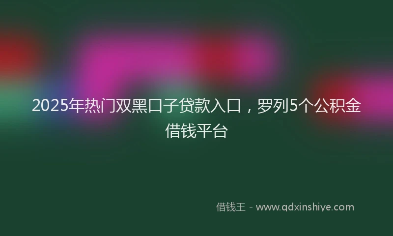 2025年热门双黑口子贷款入口，罗列5个公积金借钱平台