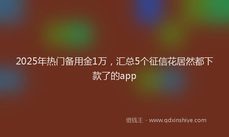 2025年热门备用金1万，汇总5个征信花居然都下款了的app