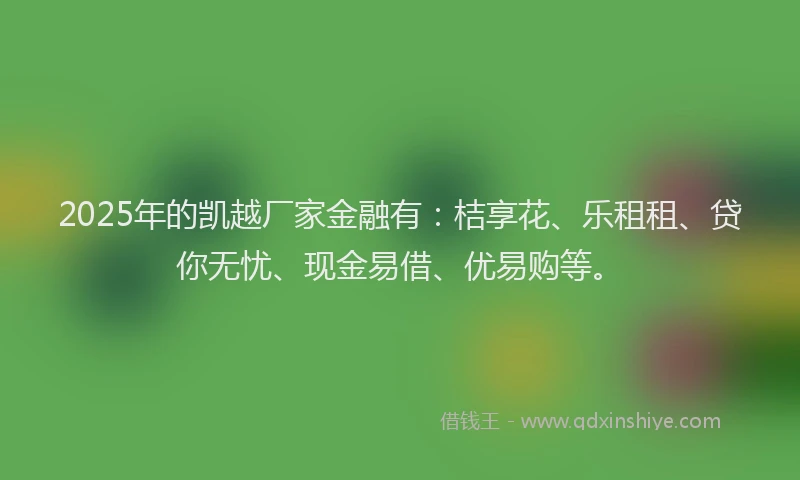 2025年的凯越厂家金融有：桔享花、乐租租、贷你无忧、现金易借、优易购等。