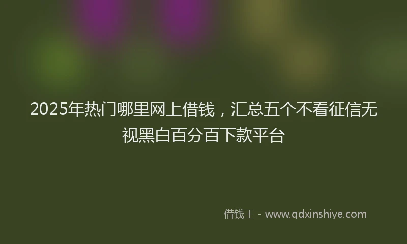 2025年热门哪里网上借钱，汇总五个不看征信无视黑白百分百下款平台