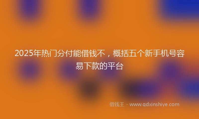 2025年热门分付能借钱不，概括五个新手机号容易下款的平台
