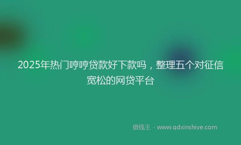 2025年热门哼哼贷款好下款吗，整理五个对征信宽松的网贷平台