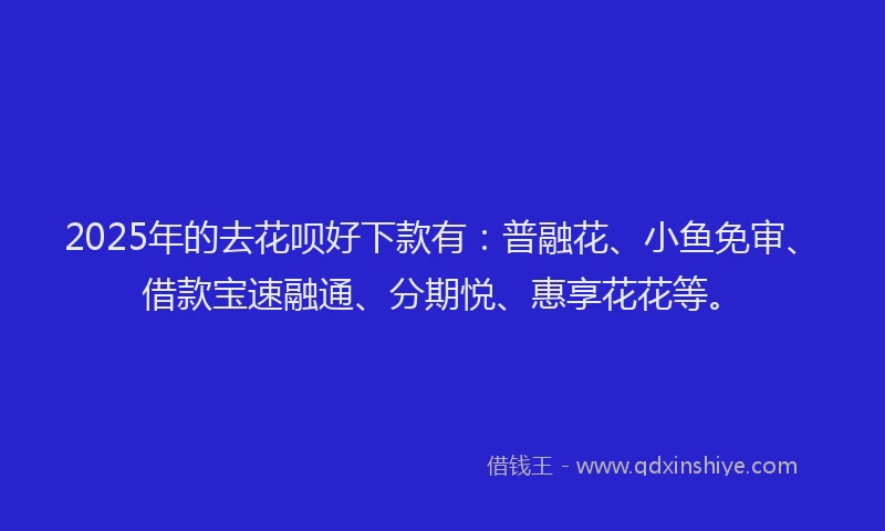 2025年的去花呗好下款有：普融花、小鱼免审、借款宝速融通、分期悦、惠享花花等。