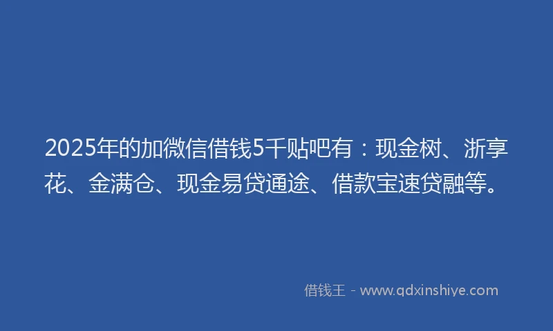 2025年的加微信借钱5千贴吧有:现金树、浙享花、金满仓、现金易贷通途、借款宝速贷融等。