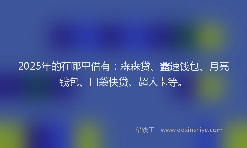 2025年的在哪里借有：森森贷、鑫速钱包、月亮钱包、口袋快贷、超人卡等。