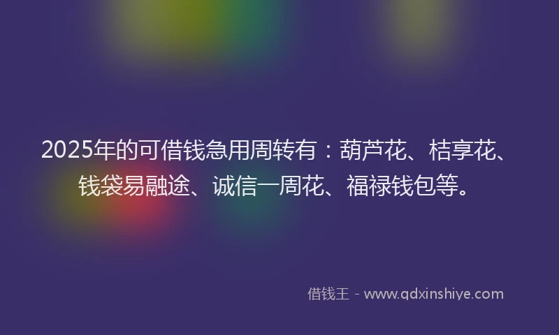 2025年的可借钱急用周转有：葫芦花、桔享花、钱袋易融途、诚信一周花、福禄钱包等。
