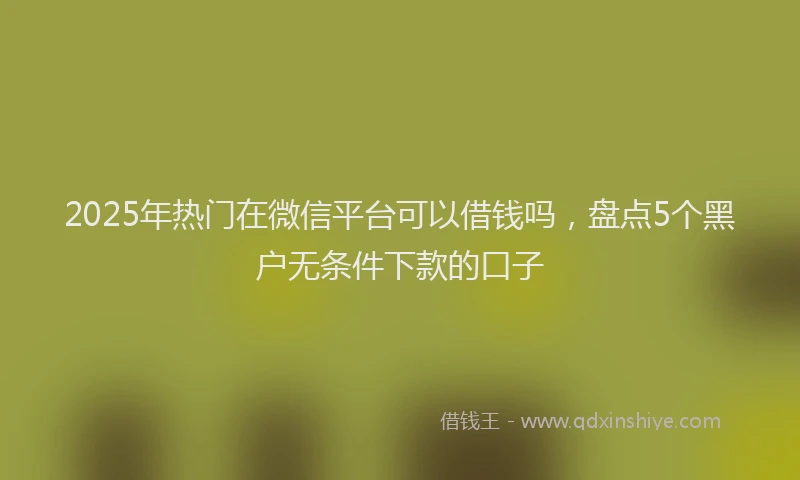 2025年热门在微信平台可以借钱吗，盘点5个黑户无条件下款的口子