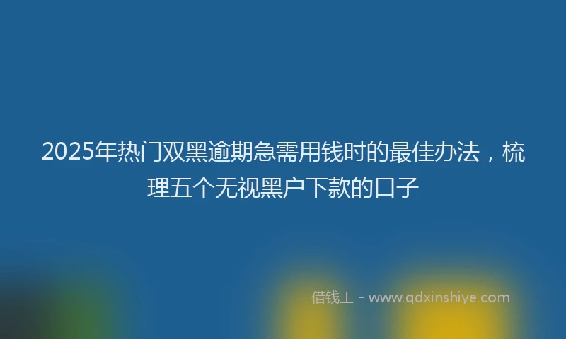 2025年热门双黑逾期急需用钱时的最佳办法，梳理五个无视黑户下款的口子
