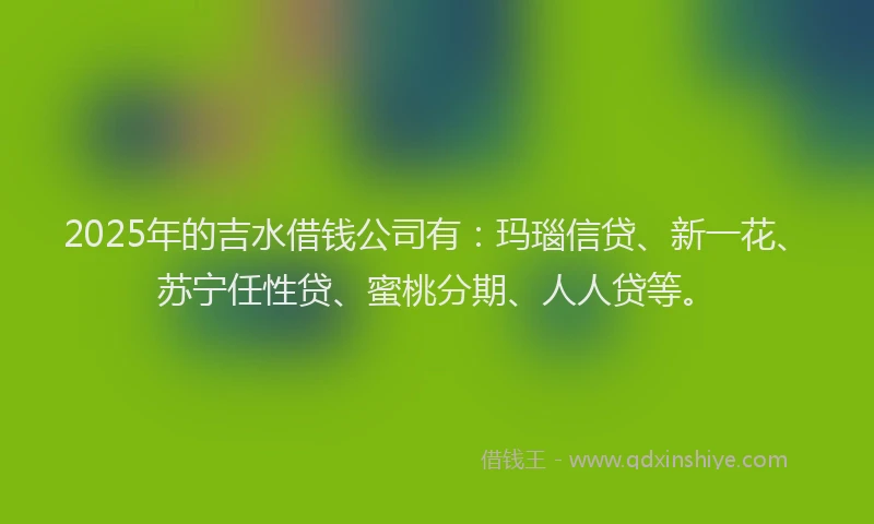 2025年的吉水借钱公司有：玛瑙信贷、新一花、苏宁任性贷、蜜桃分期、人人贷等。