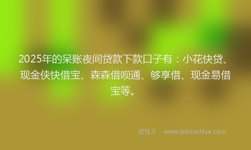 2025年的呆账夜间贷款下款口子有：小花快贷、现金侠快借宝、森森借呗通、够享借、现金易借宝等。