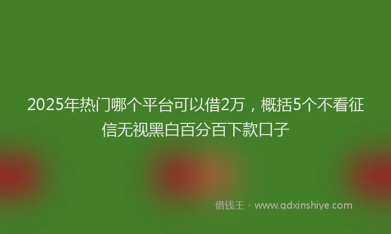 2025年热门哪个平台可以借2万，概括5个不看征信无视黑白百分百下款口子