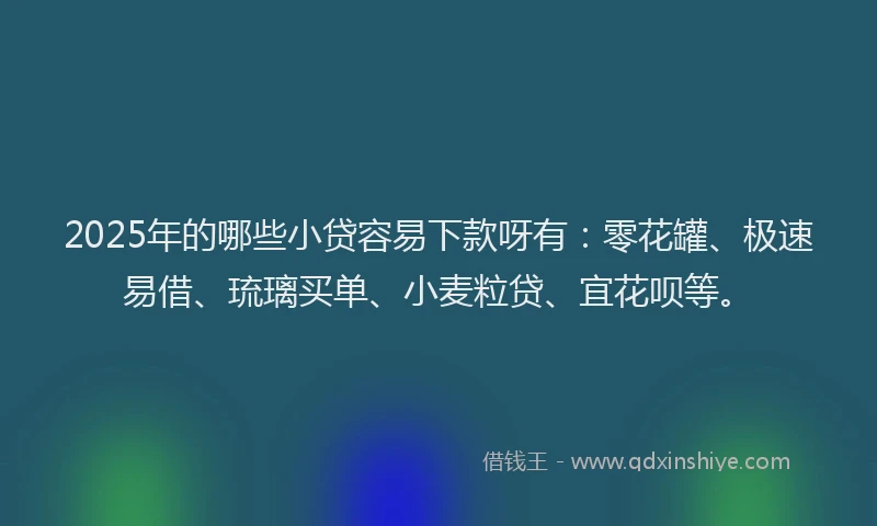 2025年的哪些小贷容易下款呀有：零花罐、极速易借、琉璃买单、小麦粒贷、宜花呗等。