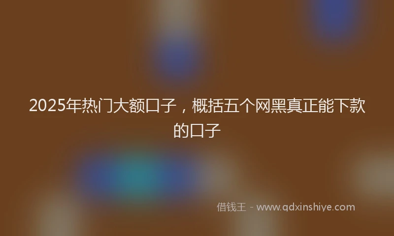 2025年热门大额口子，概括五个网黑真正能下款的口子