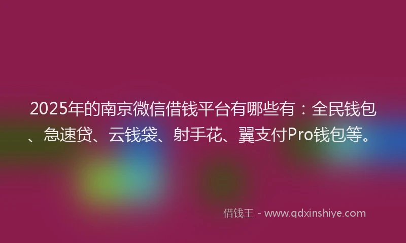 2025年的南京微信借钱平台有哪些有：全民钱包、急速贷、云钱袋、射手花、翼支付Pro钱包等。