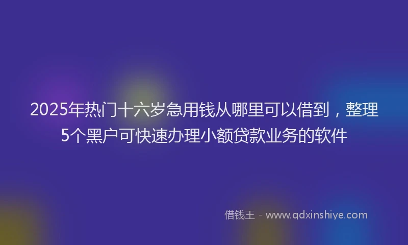 2025年热门十六岁急用钱从哪里可以借到，整理5个黑户可快速办理小额贷款业务的软件