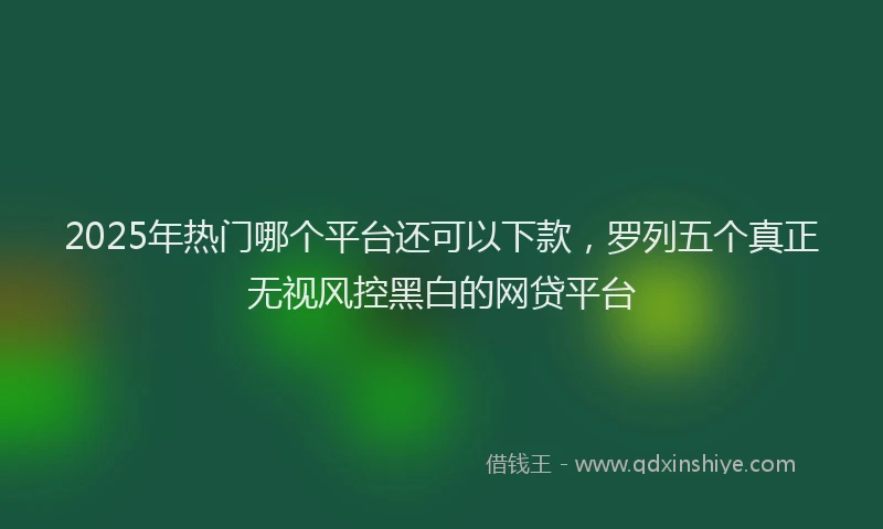 2025年热门哪个平台还可以下款，罗列五个真正无视风控黑白的网贷平台