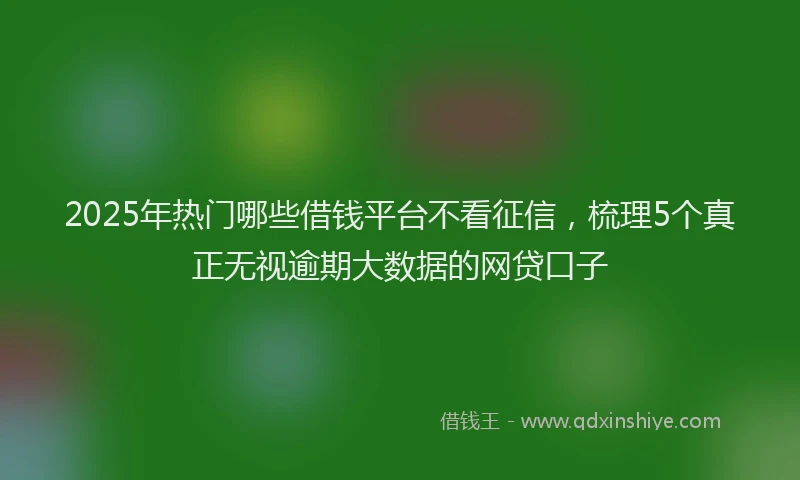 2025年热门哪些借钱平台不看征信，梳理5个真正无视逾期大数据的网贷口子