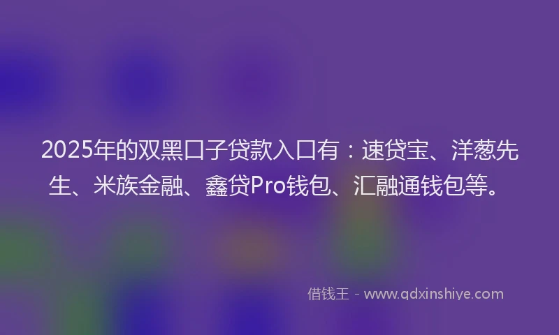 2025年的双黑口子贷款入口有：速贷宝、洋葱先生、米族金融、鑫贷Pro钱包、汇融通钱包等。