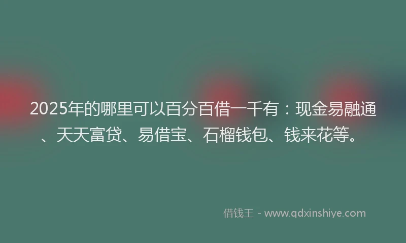 2025年的哪里可以百分百借一千有：现金易融通、天天富贷、易借宝、石榴钱包、钱来花等。