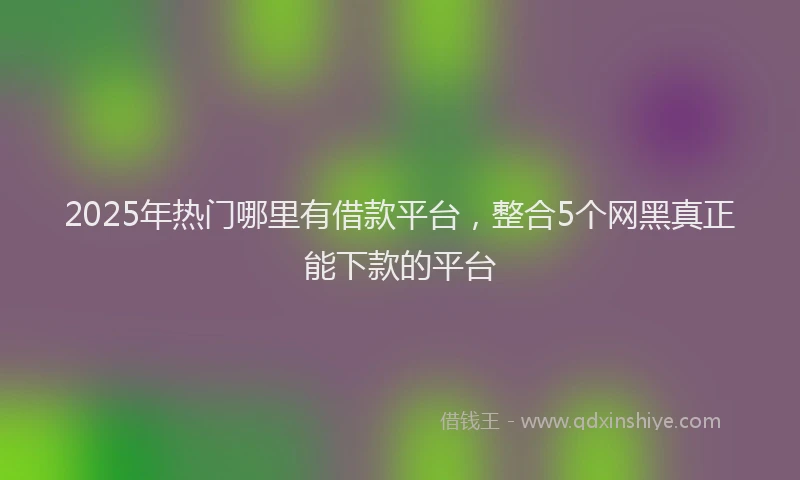 2025年热门哪里有借款平台，整合5个网黑真正能下款的平台