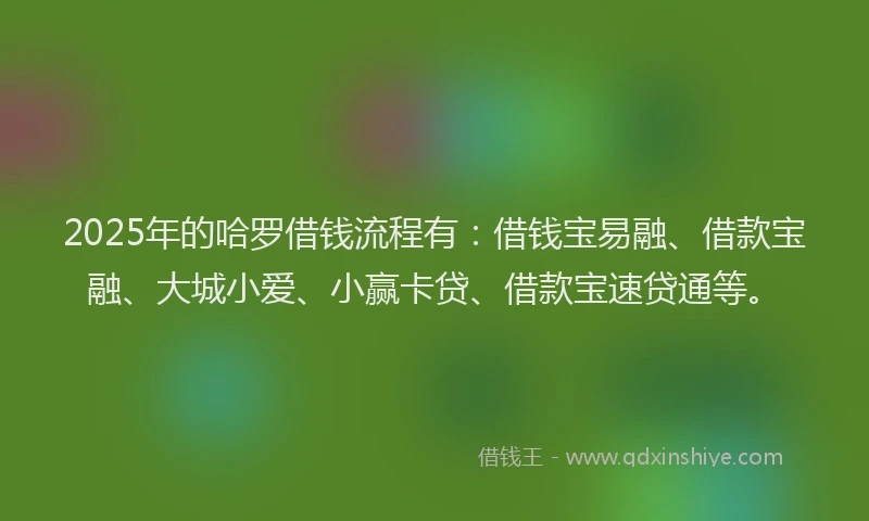2025年的哈罗借钱流程有：借钱宝易融、借款宝融、大城小爱、小赢卡贷、借款宝速贷通等。