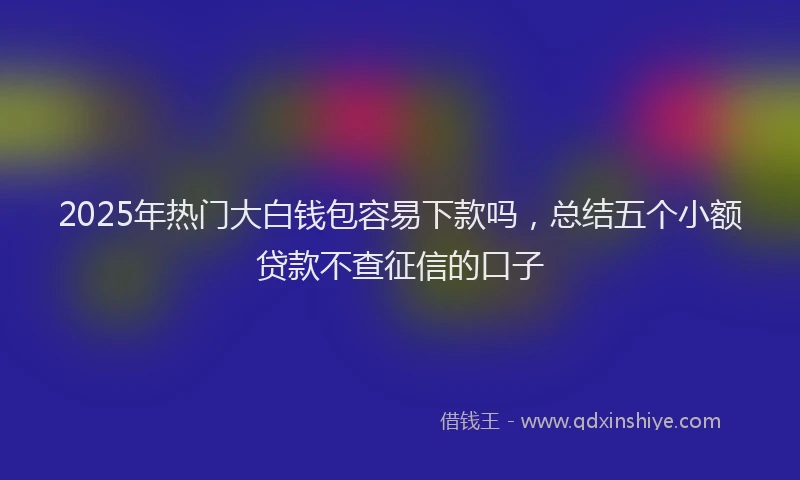 2025年热门大白钱包容易下款吗，总结五个小额贷款不查征信的口子