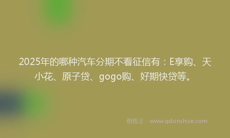 2025年的哪种汽车分期不看征信有：E享购、天小花、原子贷、gogo购、好期快贷等。