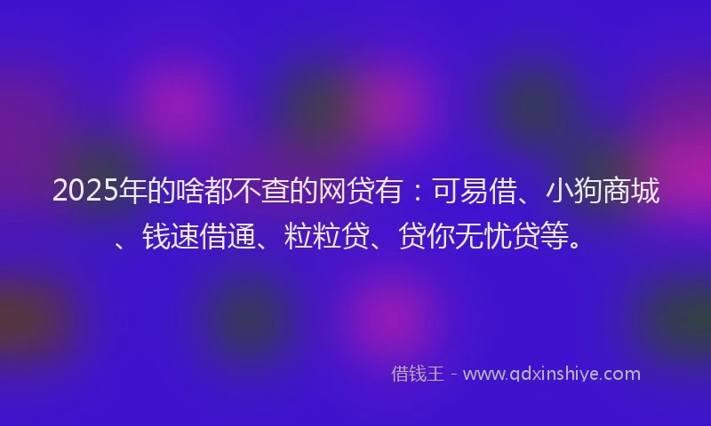 2025年的啥都不查的网贷有：可易借、小狗商城、钱速借通、粒粒贷、贷你无忧贷等。