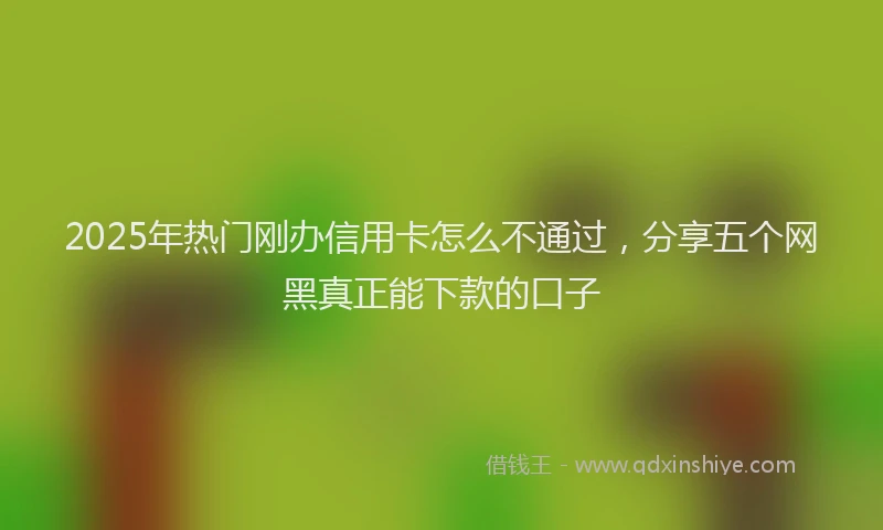 2025年热门刚办信用卡怎么不通过，分享五个网黑真正能下款的口子