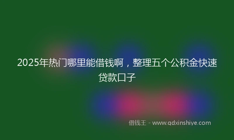 2025年热门哪里能借钱啊，整理五个公积金快速贷款口子