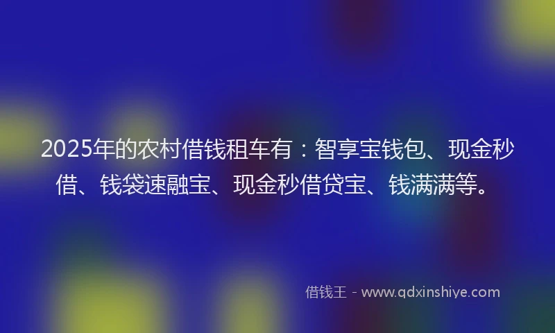 2025年的农村借钱租车有:智享宝钱包、现金秒借、钱袋速融宝、现金秒借贷宝、钱满满等。