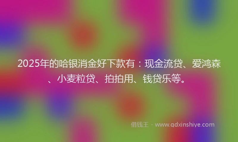 2025年的哈银消金好下款有：现金流贷、爱鸿森、小麦粒贷、拍拍用、钱贷乐等。
