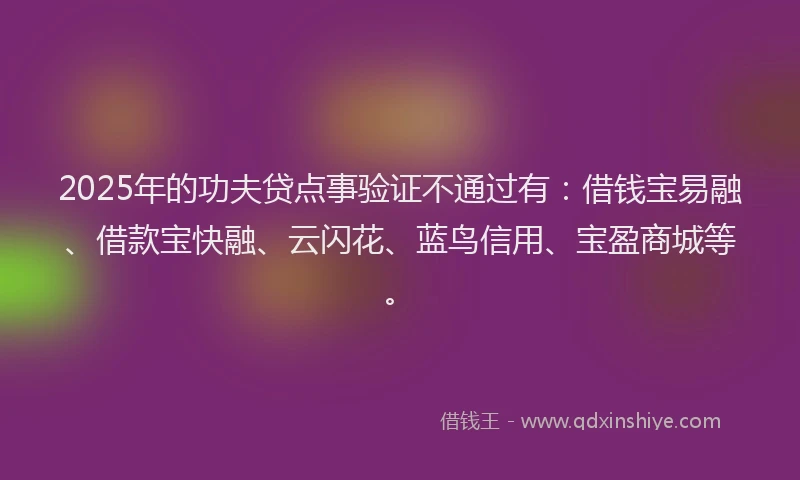 2025年的功夫贷点事验证不通过有：借钱宝易融、借款宝快融、云闪花、蓝鸟信用、宝盈商城等。