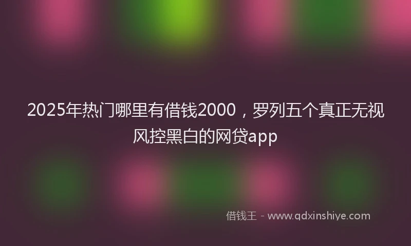 2025年热门哪里有借钱2000，罗列五个真正无视风控黑白的网贷app