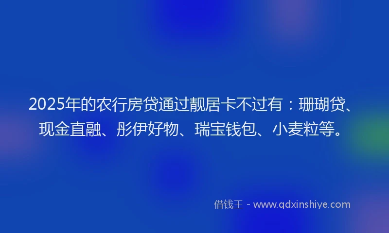 2025年的农行房贷通过靓居卡不过有：珊瑚贷、现金直融、彤伊好物、瑞宝钱包、小麦粒等。