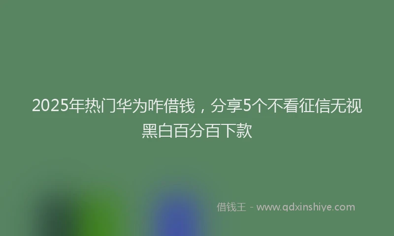 2025年热门华为咋借钱，分享5个不看征信无视黑白百分百下款